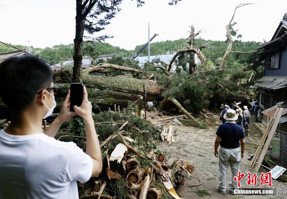 91抖阴视频
