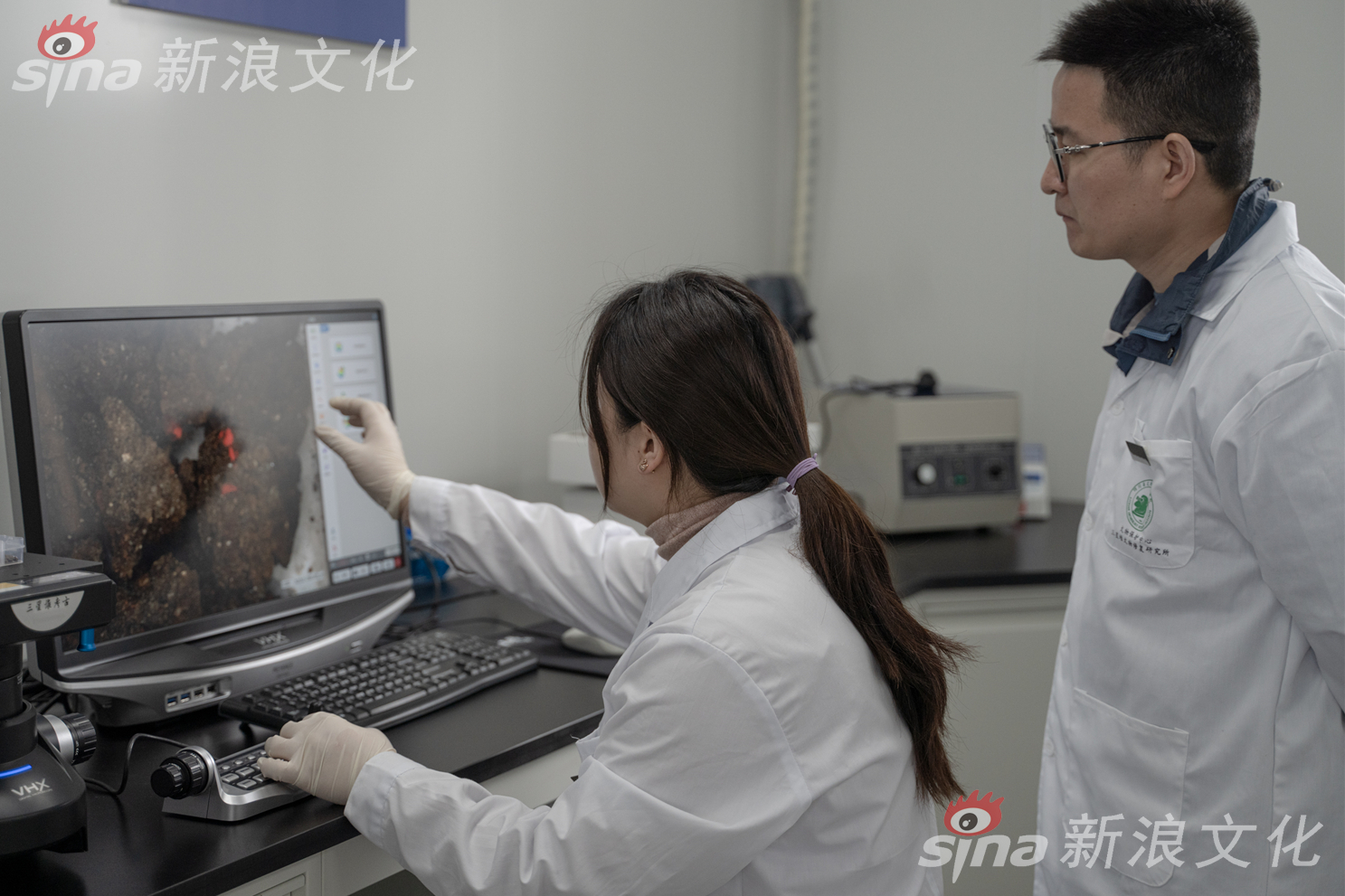 免费 看 Av 的 网站