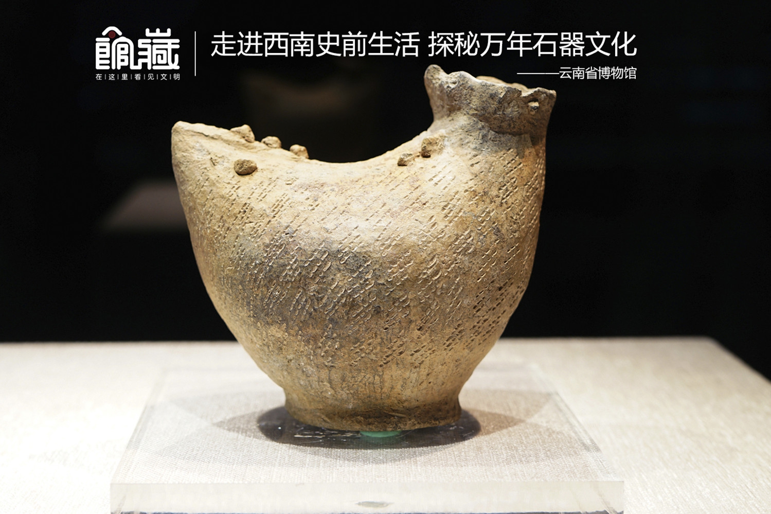 国产香港明星裸体Xxxx图片