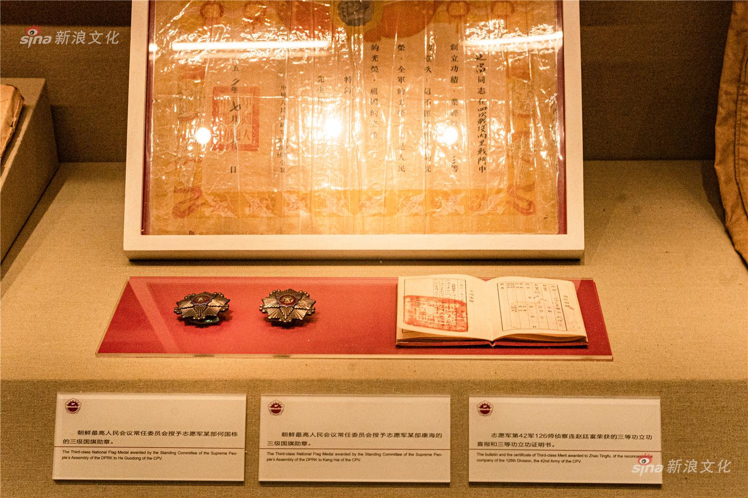 东京热免费下载