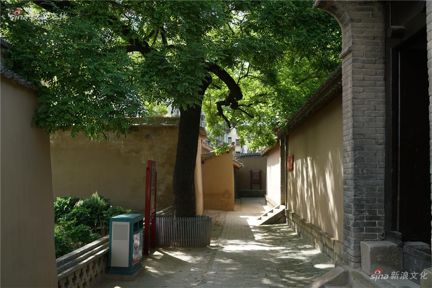 裸体跳舞