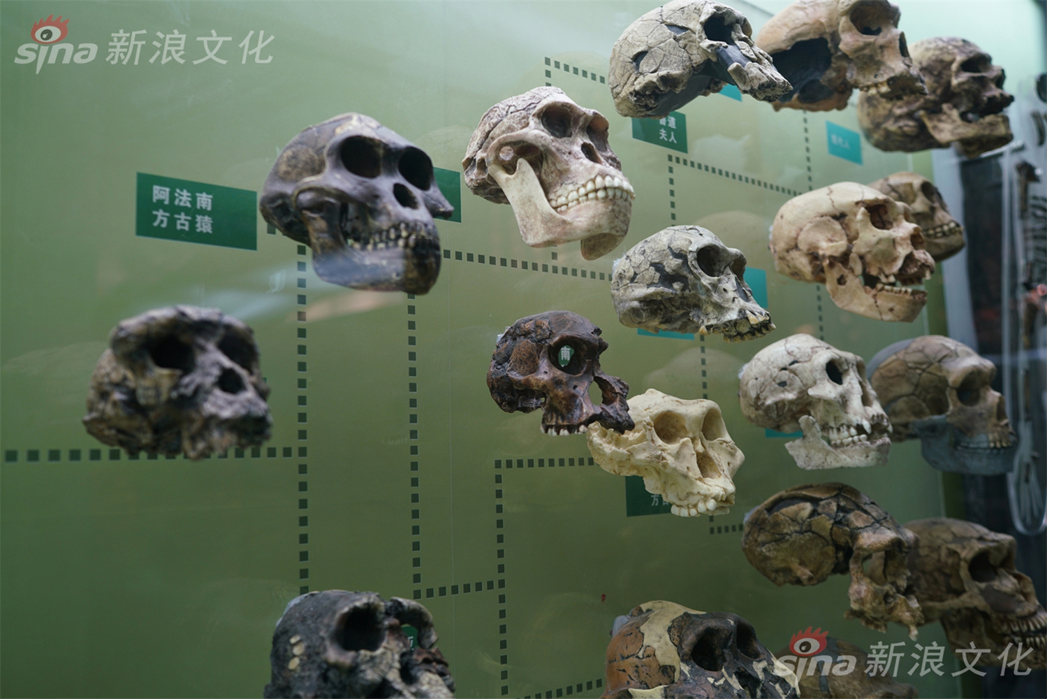 女主被扒开腿狂 视频桃子