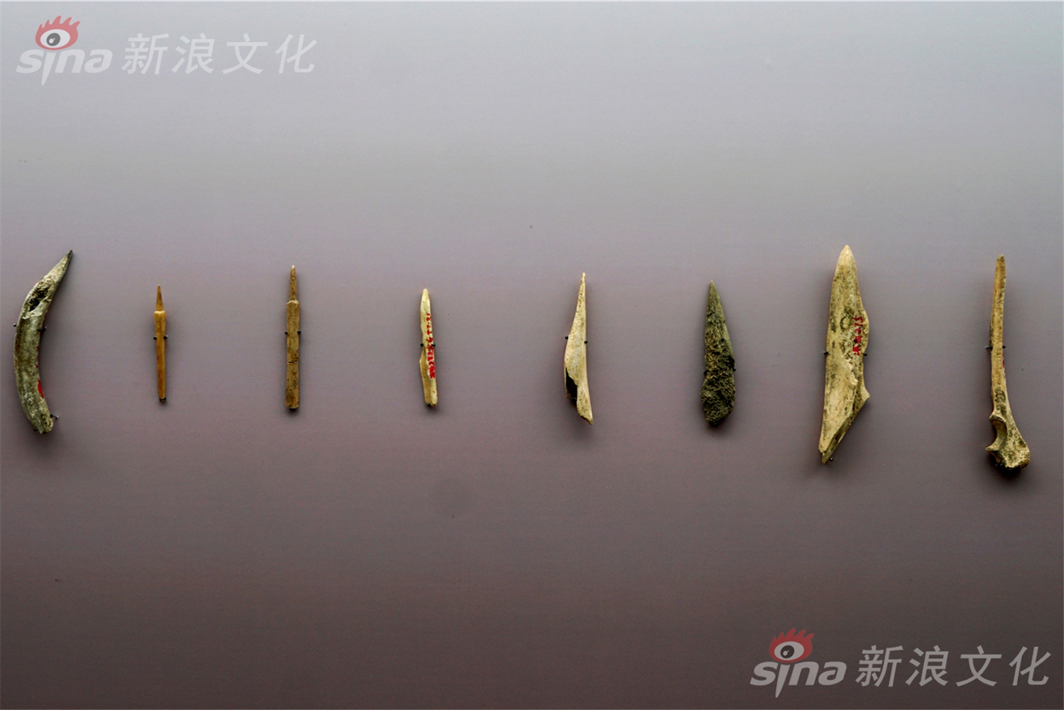 夜店熱舞脫光光