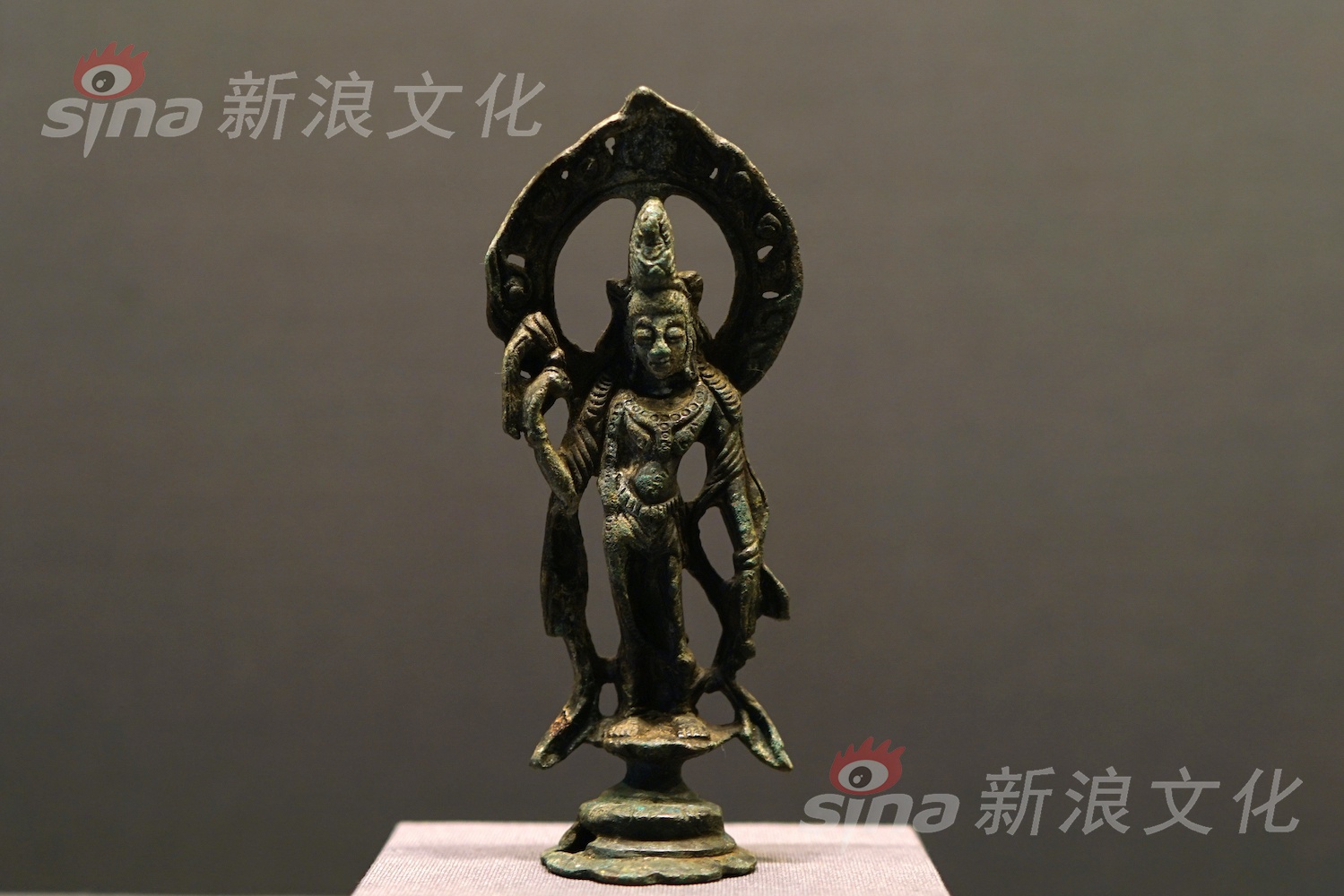 张悠雨两腿之间毛毛图片