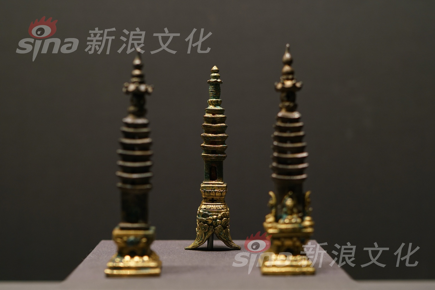 亚洲成人一区
