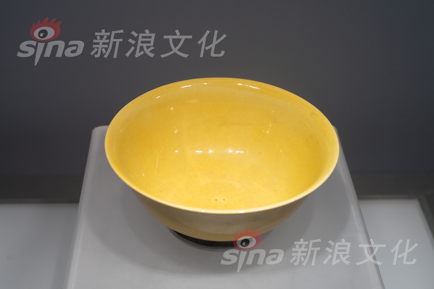 火舞的隐私秘 脱裤子