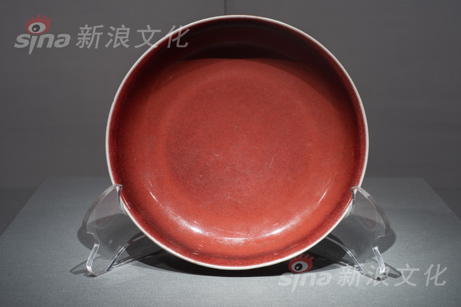 刘玥与洋老外最新