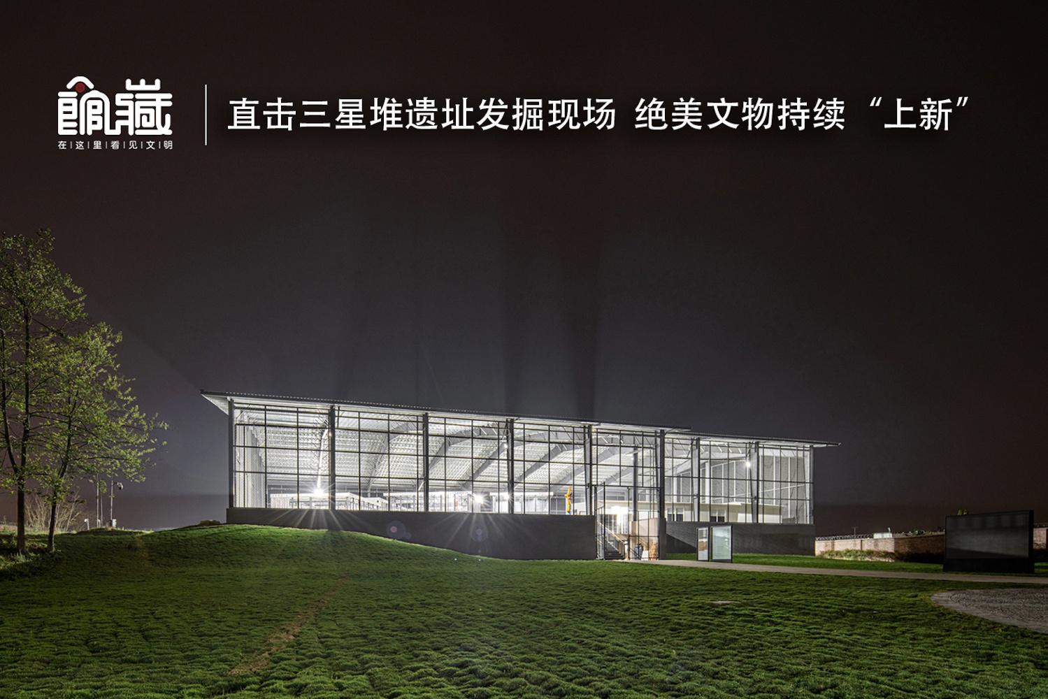 杨思敏裸乳一级电欲剐