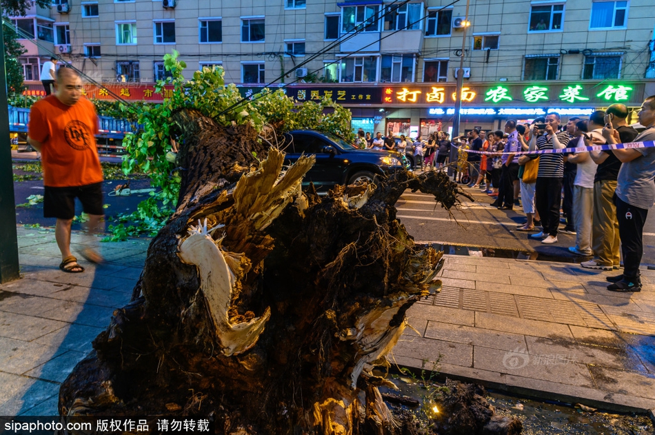 高清无码在线片