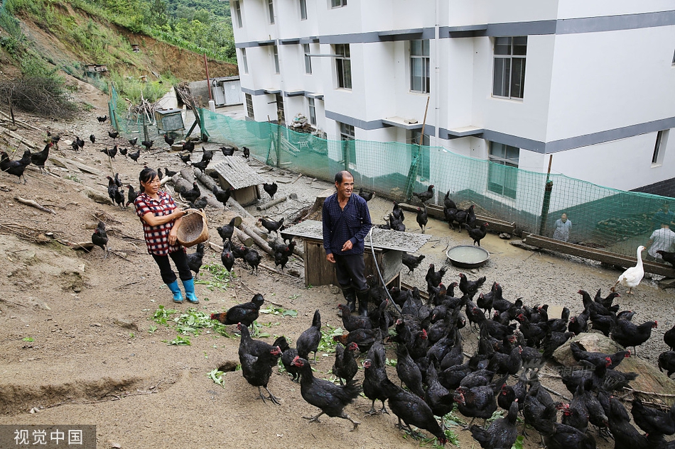 露鳥俠