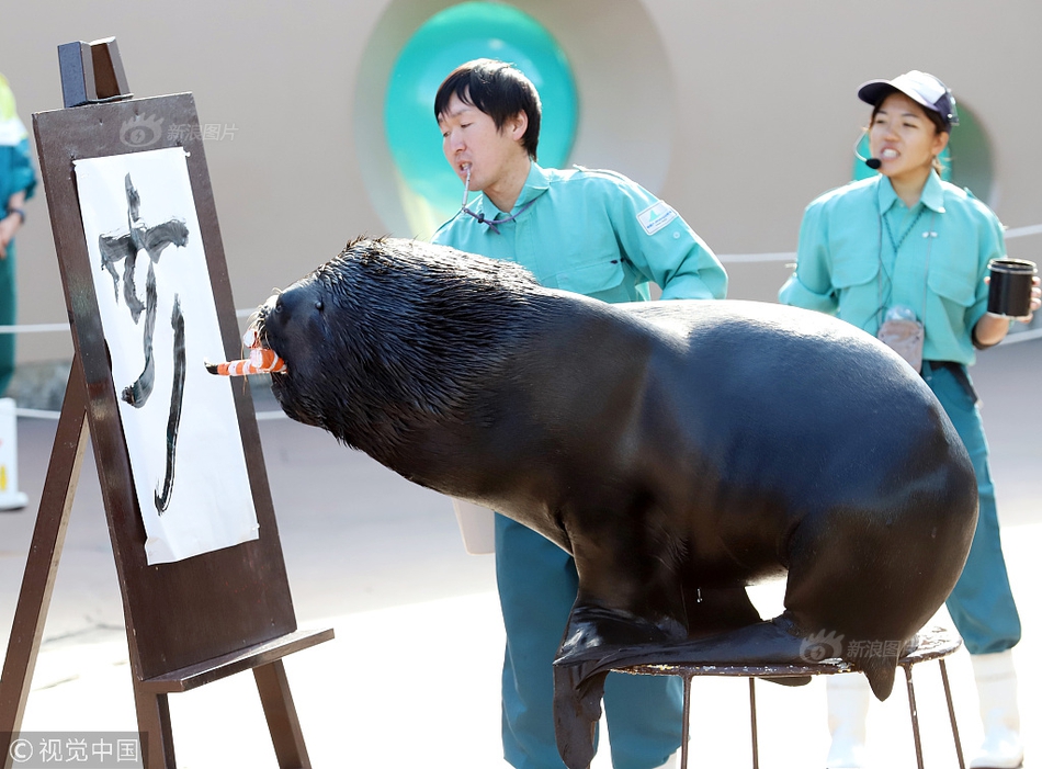 蝌蚪窝在线