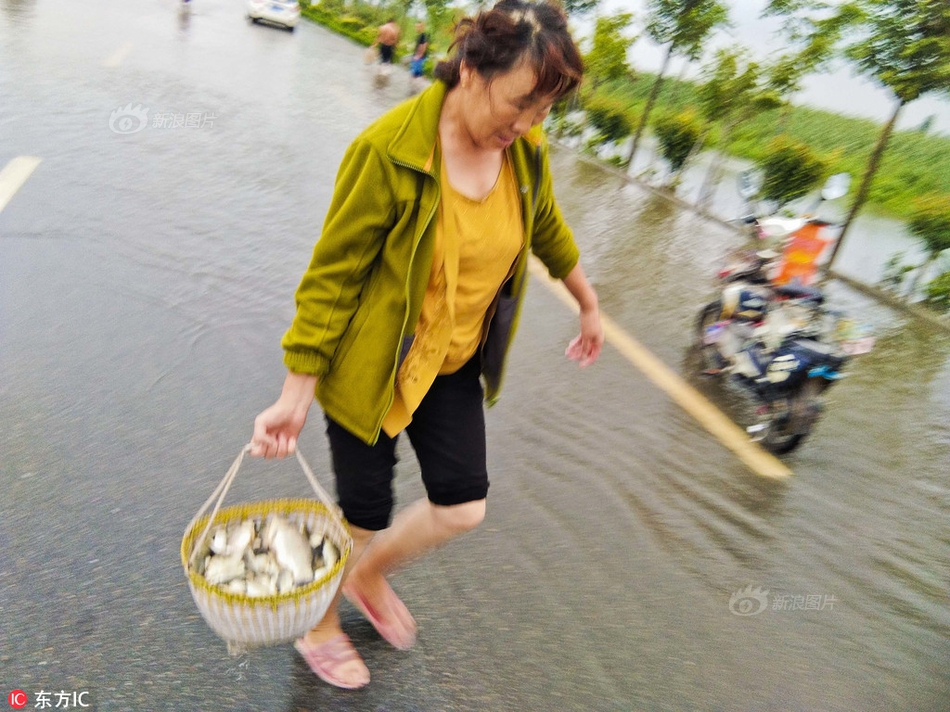欧美三级生活黄片