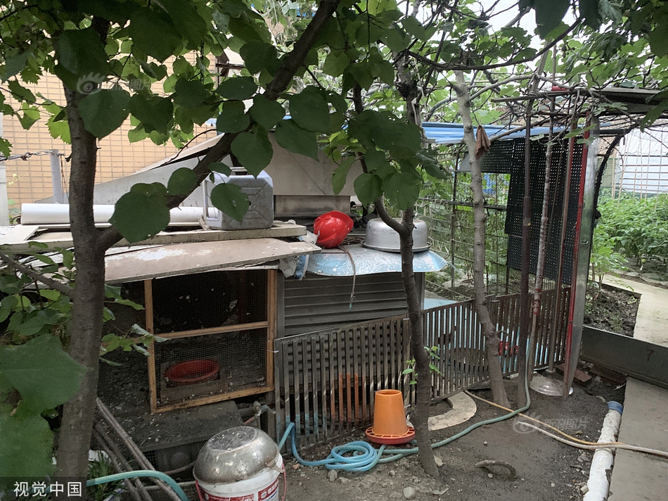 80岁老人操逼免费片