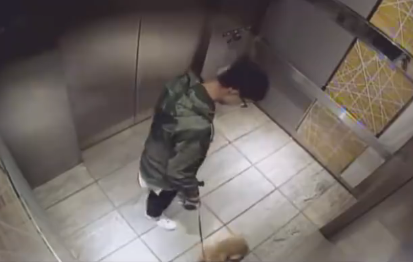 德国肥婆肏屄视频