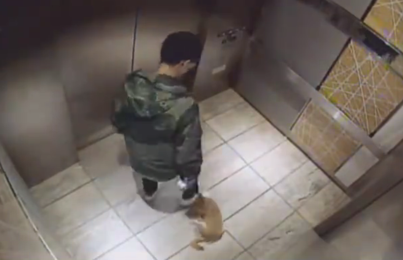 砍人血腥网站入口