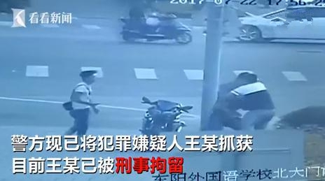免费 黄色 小 视频