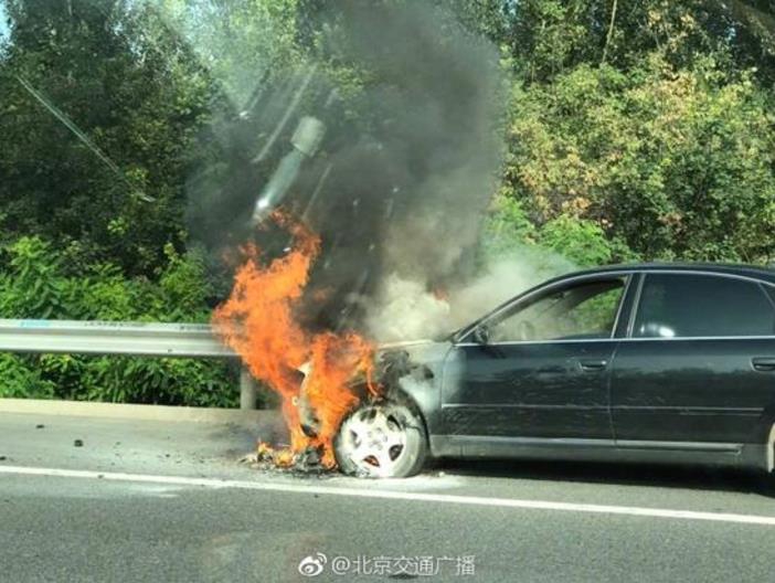 R18 成人 网站