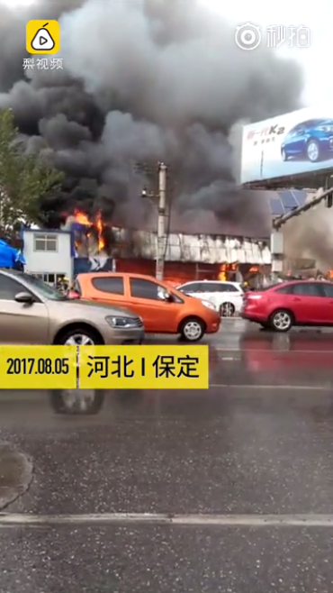 雷电将军被操