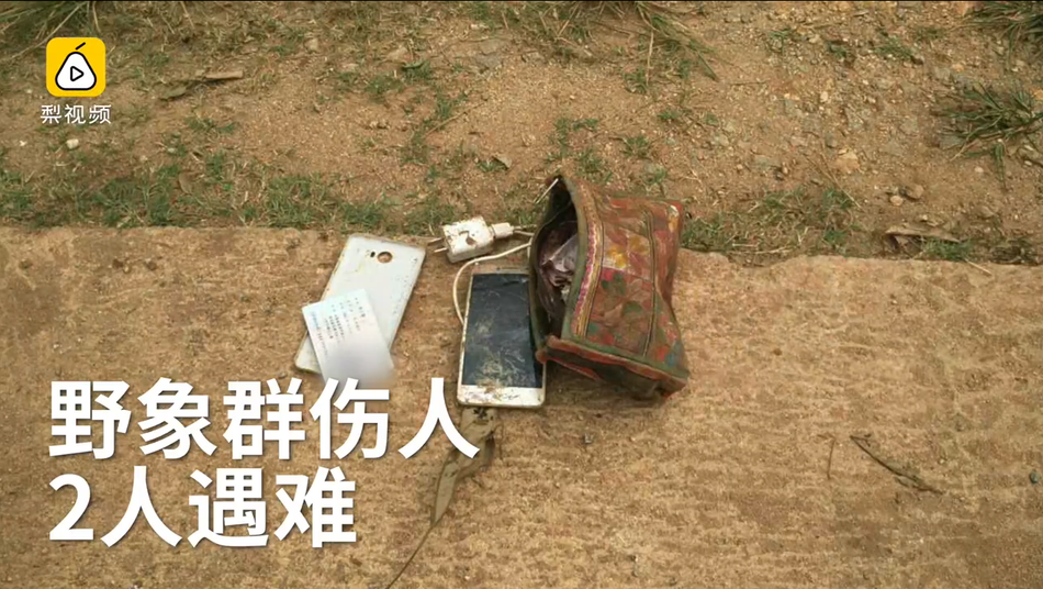 黄大片