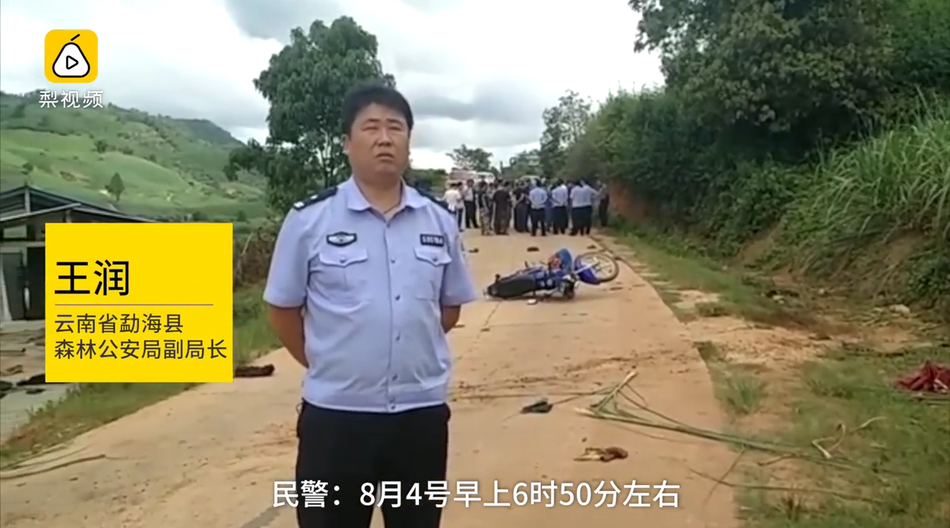 东京热app无限看免费版下载