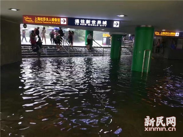 辣文小说