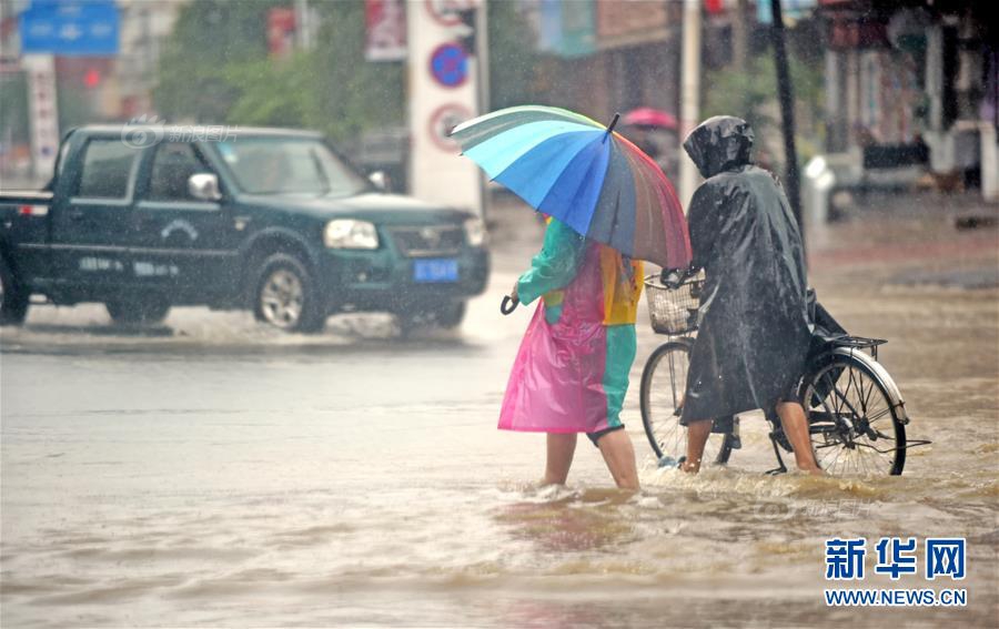 雷电将军的释怀网站!