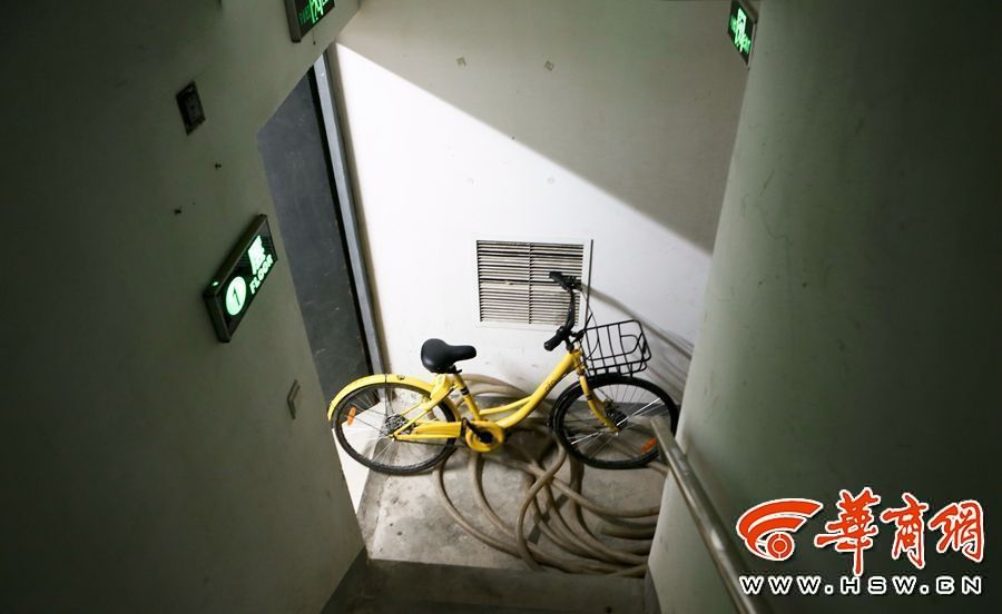 甘雨的胸襟距离观察