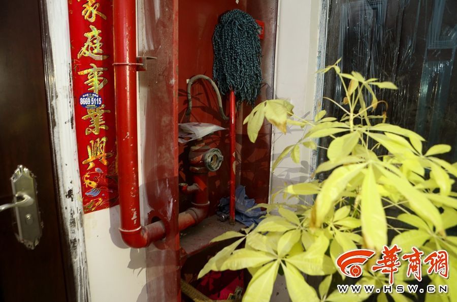 囯产精品久久久久久久免牛肉蒲团