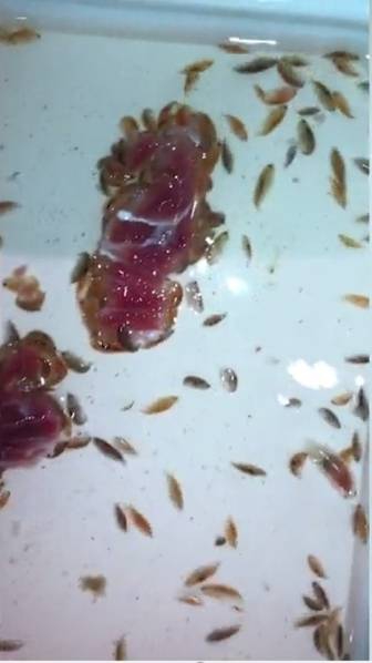 台湾三级级片黄色录像免费看