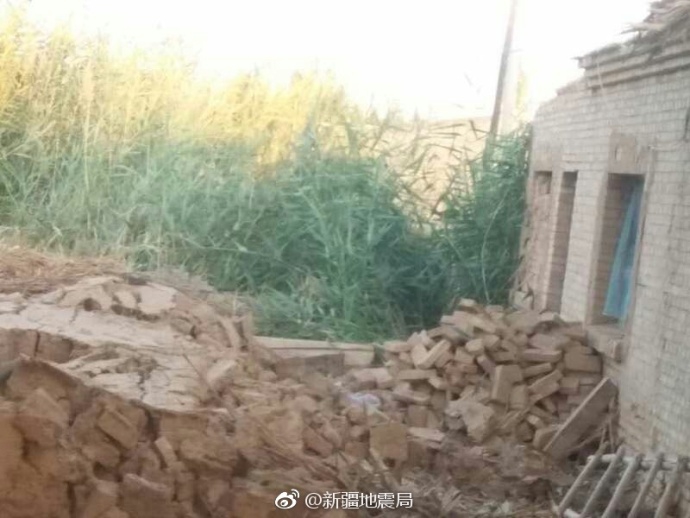 法国满天星《八尺夫人》菲律宾
