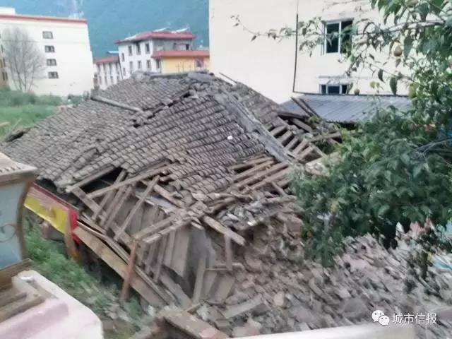 Description哑剧猫免费