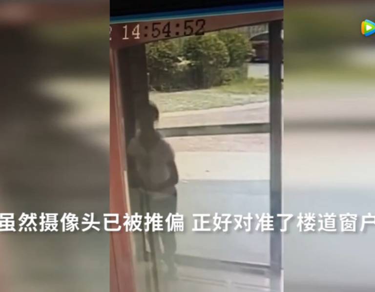成年人看的视频在线免费播放