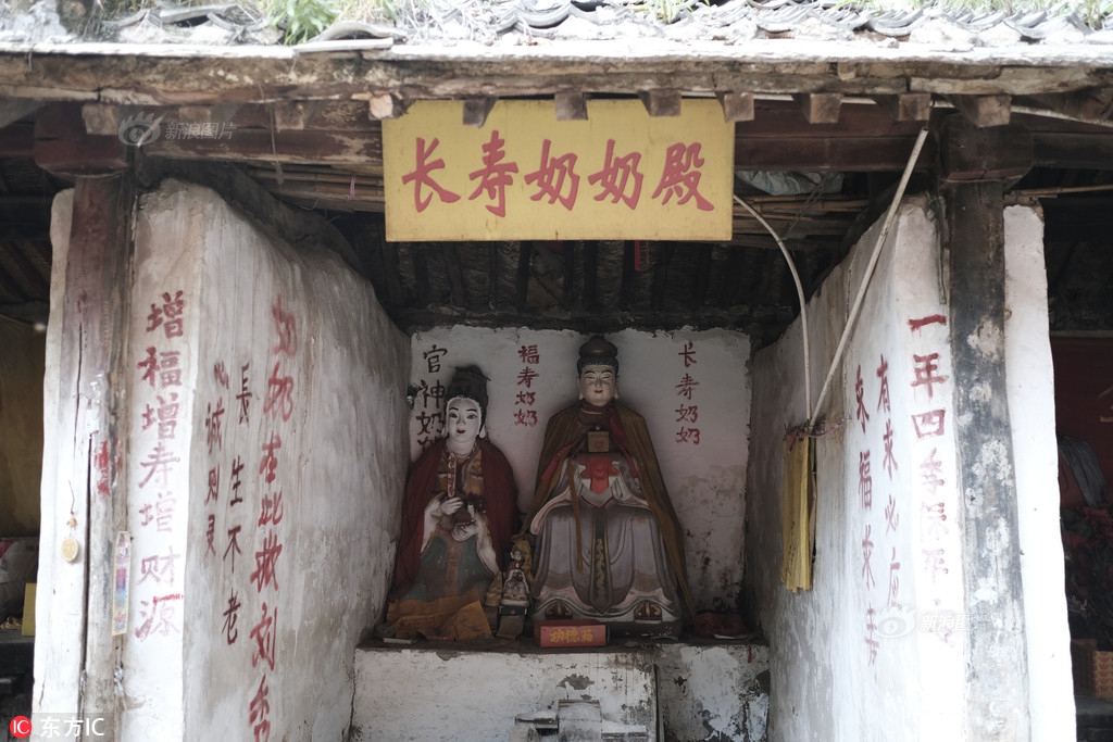 免费 看 成人 影片