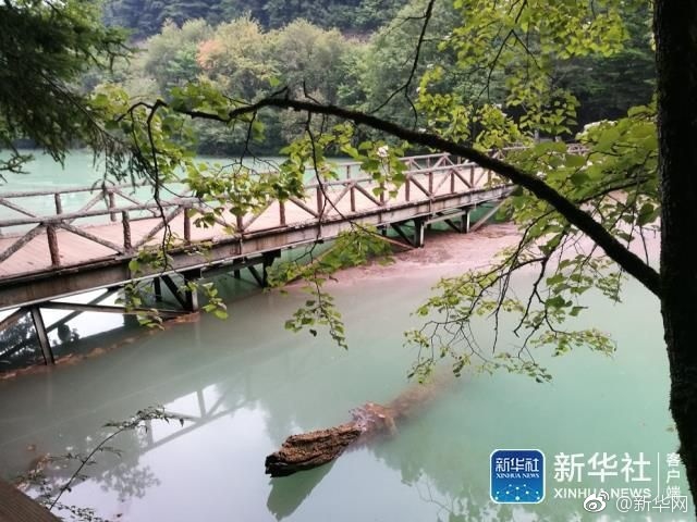 啊轻点----大巴太粗太长了
