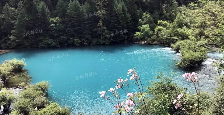 精品九九九
