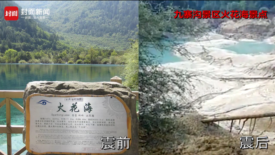 一级片免费看