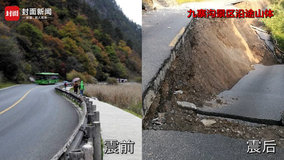 国产 成人 综艺