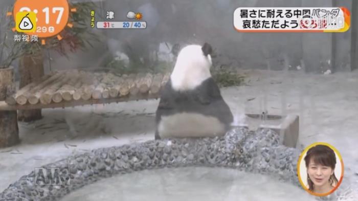 91视频网址