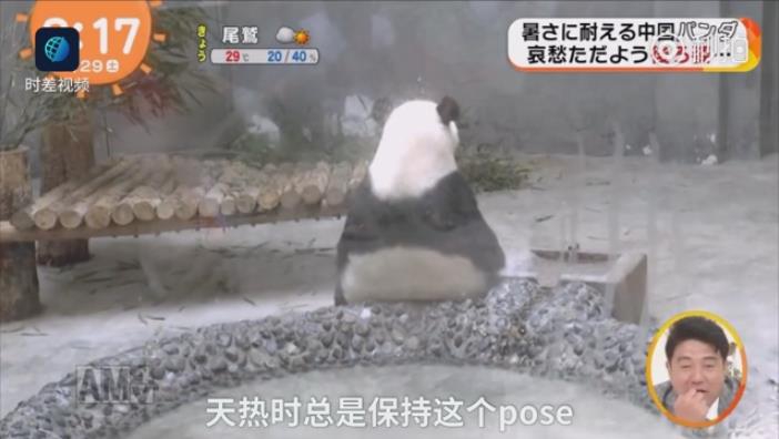 色男