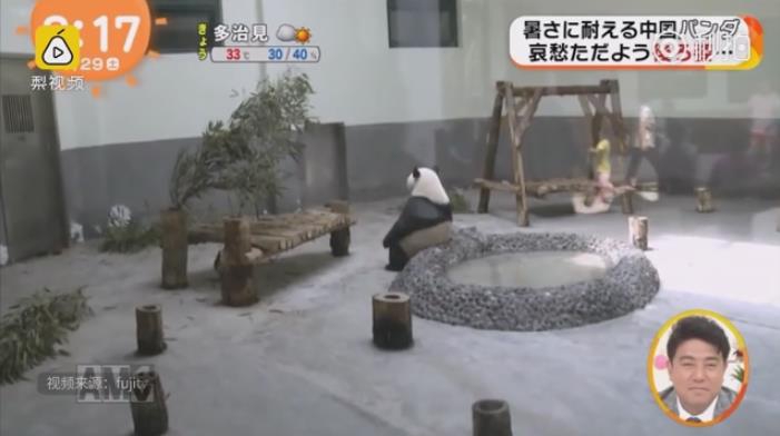 女子下部欣赏BBssW