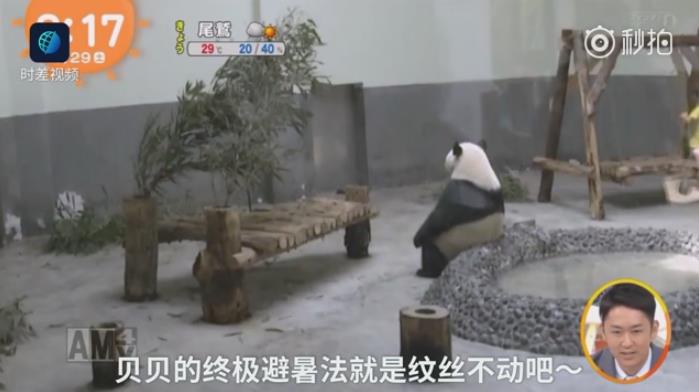 狂躁美女大BBBBBB4虎影院