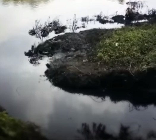 靠逼视频免费看