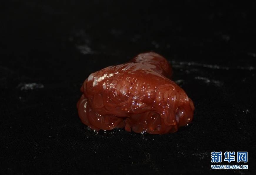 黄网址视频