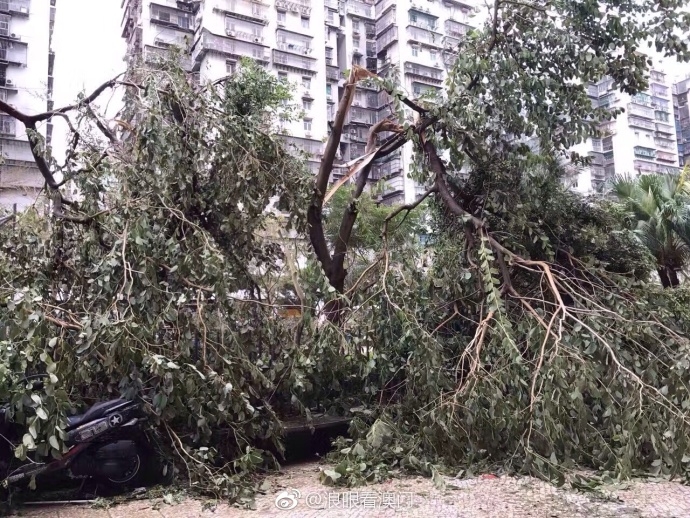 秋霞三级片