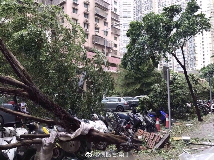 黄色视频黄色电影能看视频的
