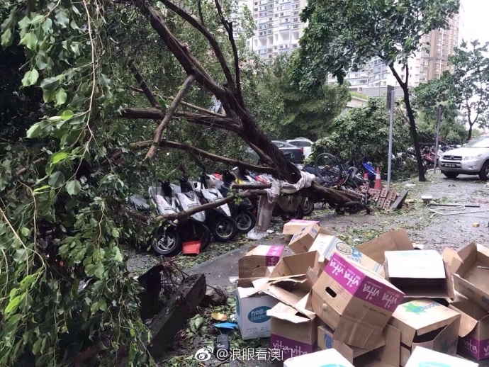 台风天鸽通过澳门致3死多伤 约20名轻伤者被送医