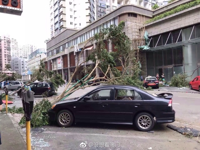台湾伦理片在线碰视频