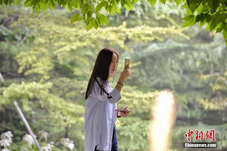 欧美1区