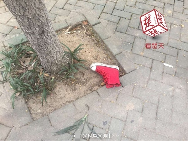 李丽珍Xxxxhd