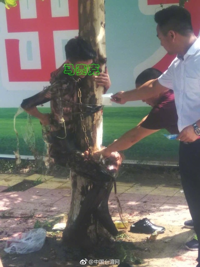 成年人黄色Av网站免费